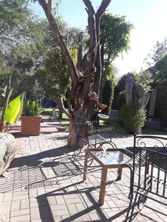 A New Earth Guest Lodge Francistown Buitenkant foto